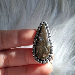 Amazing Stick Agate Silver Plated Gemstone Ring